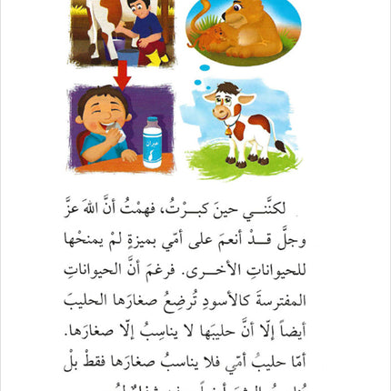 Meditation God Blessing تأمل نعم الله