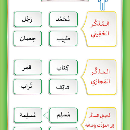 The Integrated Foundation: Volume 6 (Principles of Language Accuracy Book) التأسيس المتكامل: كتاب مبادئ السلامة اللغوية