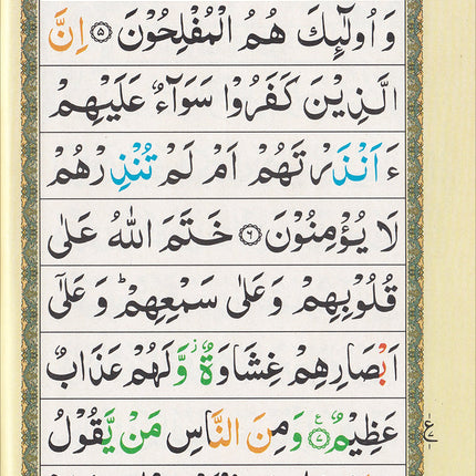 Color Coded Holy Quran (Set of 30 Juz', 9 lines per page, 8'' x 5'')