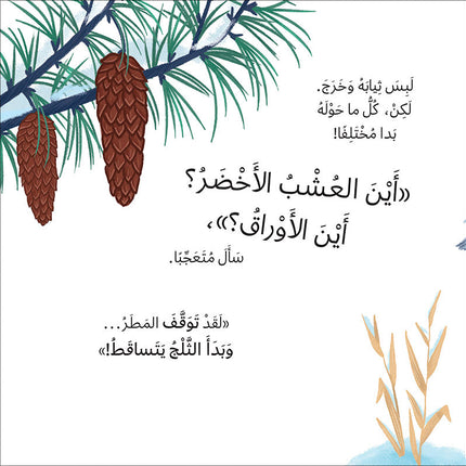 The Four Seasons (Set of 4 Books) سلسلة الفصول الأربعة