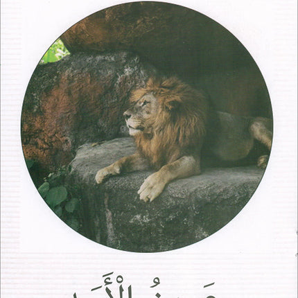 The Reading Tree Series: Beginner Level, Group 1 (Set of 10 Books) سلسلة شجرة القراءة