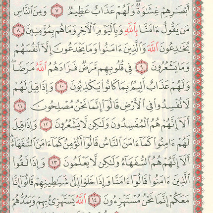 The Holy Quran - Hafs Narration (Uthmani Script, Color May Vary) القران الكريم  بالرسم العثماني برواية حفص
