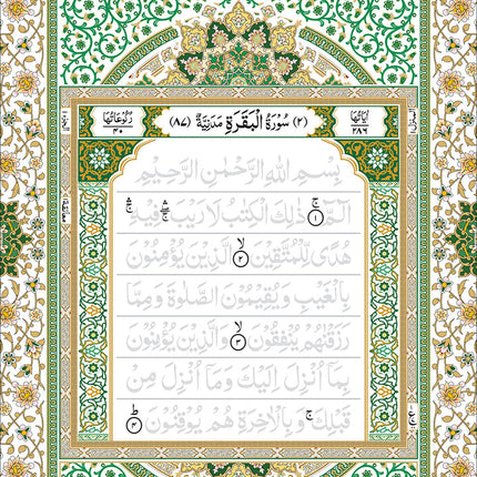 Quran Trace - Handwritten Traceable Method (South Asian and Indo Pak Edition)