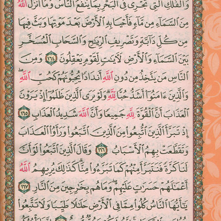 Holy Quran - Spectrum Colors (5.5'' x 7.8''), Colors May Vary