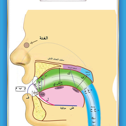 The Integrated Establishment: Volume 7 (Simplified Tajweed Book) التأسيس المتكامل: كتاب التجويد الميسر