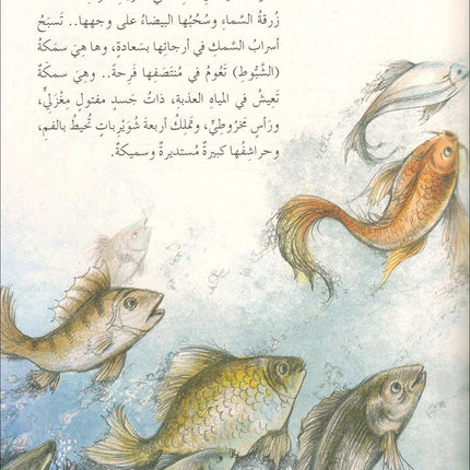 The Forest Mysteries Series (Set of 8 Books) سلسلة الغاز الغابة
