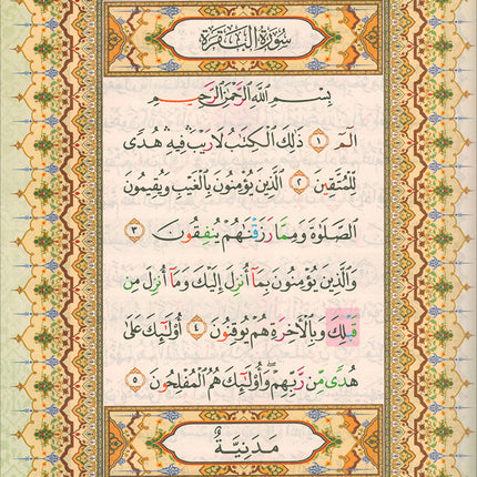 Al-Quran Al-Karim: Mushaf Waqaf & Ibtida  (Large Size A4 (8.3” x 11.7”), Colors May Vary)