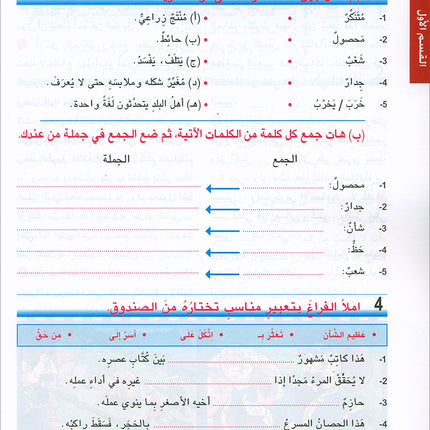 Arabic is the Language of Tomorrow for Non-Native Speakers Textbook: Level 9 العربية لغة الغد