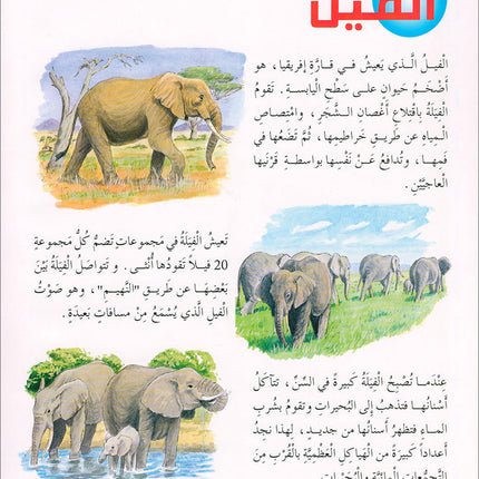Animal's World series (Set of 6 books) سلسلة عالم الحيوانات