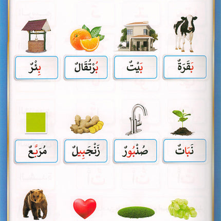 The Integrated Foundation: Volume 5 (Alphabet Picture Dictionary) التأسيس المتكامل: كتاب معجم صور الحروف