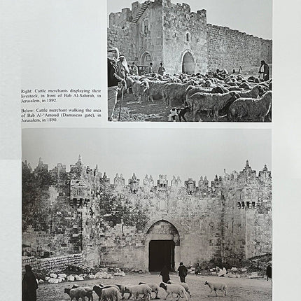 Encyclopedia Palestinnica (24 Volumes) الموسوعة الفلسطينية