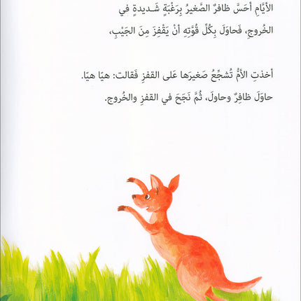 Graded Reading Series: Level 4 (Set of 4 Books) سلسلة القراءة المتدرجة