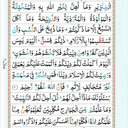 The Holy Quran Colour Coded Tajweed Rules 13 Lines 23CC Kabah with Slip Case