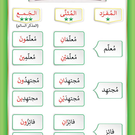 The Integrated Foundation: Volume 6 (Principles of Language Accuracy Book) التأسيس المتكامل: كتاب مبادئ السلامة اللغوية