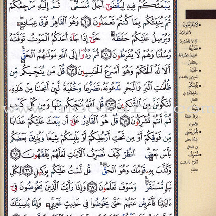 Tajweed Qur'an (Whole Qur'an, with Zipper, Size: "7x9", Colors May Vary) مصحف التجويد