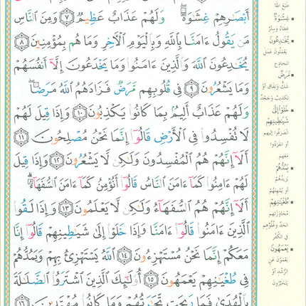 Tajweed Qur'an (Whole Qur'an in 30 Individual Juz', 7" x 10", with Leather Case – Case Color May Vary) مصحف التجويد