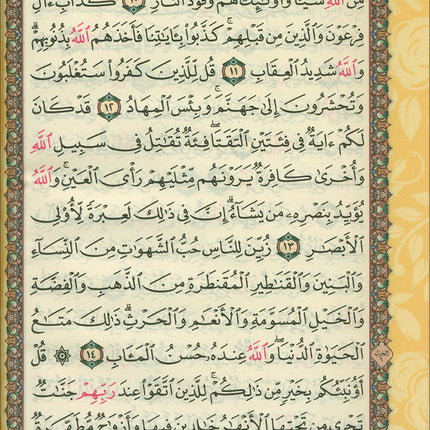Holy Quran - Spectrum Colors (5.5'' x 7.8''), Colors May Vary