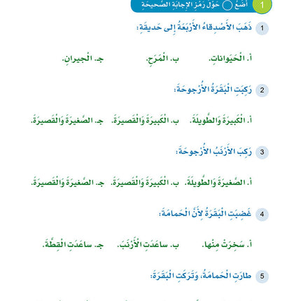 Arabic Sanabel Online Platform Package: Level 4 (Family Package)