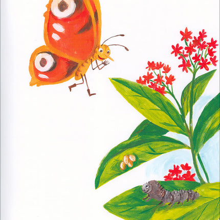 Graded Reading Series: Level 4 (Set of 4 Books) سلسلة القراءة المتدرجة