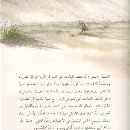 The Forest Mysteries Series (Set of 8 Books) سلسلة الغاز الغابة