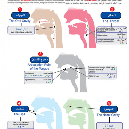 Bidaya Word Tajweed and Verse Recitation