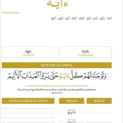 Quran Roots: The Most Popular Words Mentioned in The Quran