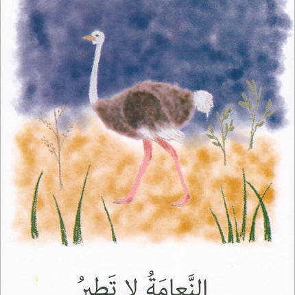 The Reading Tree Series: Beginner Level, Group 1 (Set of 10 Books) سلسلة شجرة القراءة