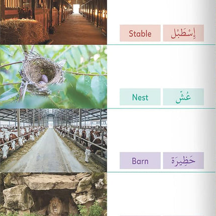 Animal Encyclopedia (Arabic & English Smart Book with QR Codes) موسوعة الحيوان