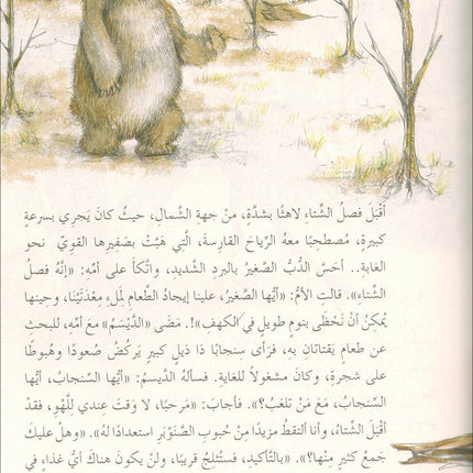 The Forest Mysteries Series (Set of 8 Books) سلسلة الغاز الغابة