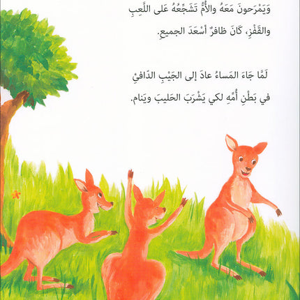 Graded Reading Series: Level 4 (Set of 4 Books) سلسلة القراءة المتدرجة