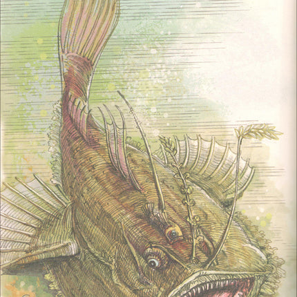 The Forest Mysteries Series (Set of 8 Books) سلسلة الغاز الغابة