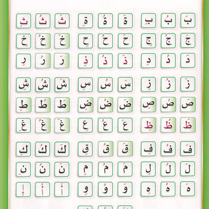 The Integrated Foundation: Volume 2 (Short and Long Vowels Book) التأسيس المتكامل: كتاب الحركات والمدود