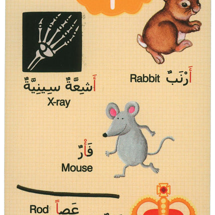 Early Learning Arabic Flash Cards