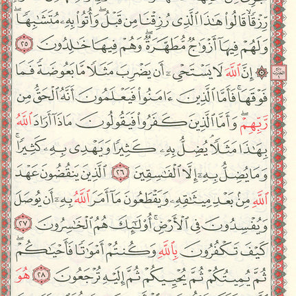 The Holy Quran - Hafs Narration (Uthmani Script, Color May Vary) القران الكريم  بالرسم العثماني برواية حفص