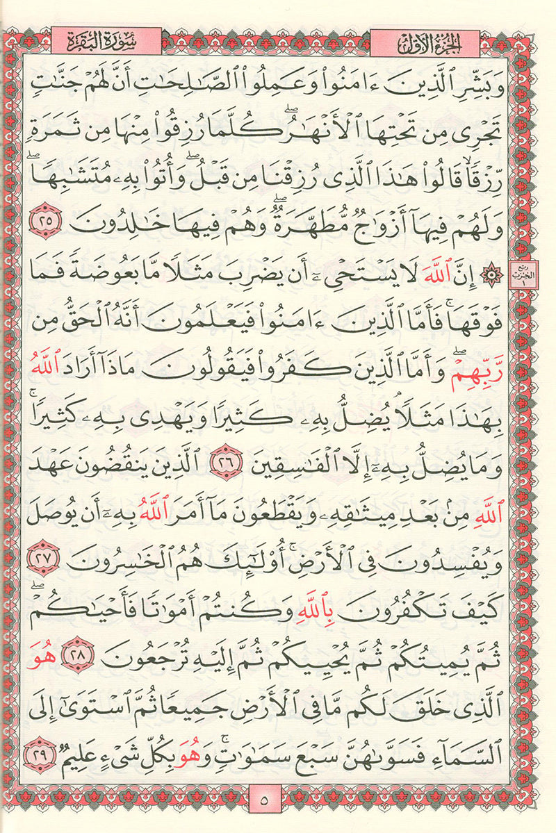 The Holy Quran - Hafs Narration (Uthmani Script, Color May Vary) القران الكريم  بالرسم العثماني برواية حفص