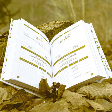 Quran Roots: The Most Popular Words Mentioned in The Quran