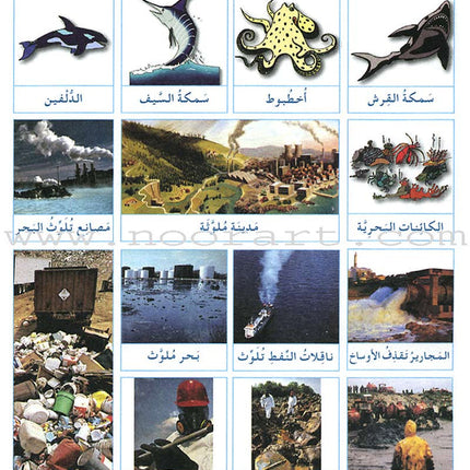 I Love and Learn the Arabic Language Textbook: Level 6 (Old Edition) أحب و أتعلم اللغة العربية كتاب التلميذ