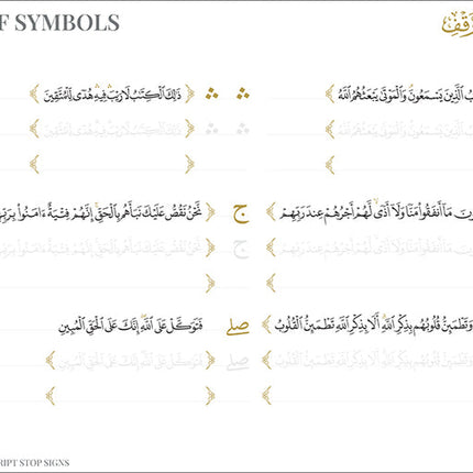 The Quran Trace Workbook: Step-by-Step Calligraphic Rasm Guide