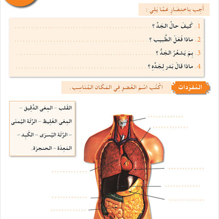 I Love and Learn the Arabic Language Workbook: Level 6