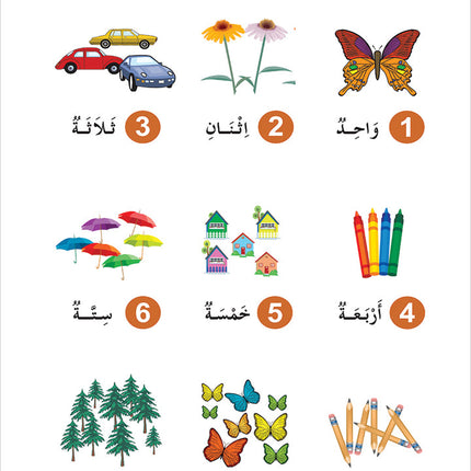 Contemporary Arabic - Reading and Exercises: Level 1 العربية المعاصرة - القراءة و التمارين