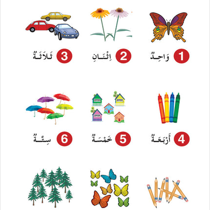 Contemporary Arabic - Reading and Exercises: Level 2 (A2, Elementary) العربية المعاصرة - القراءة و التمارين