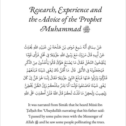 40 Hadith from Sunan ibn Majah