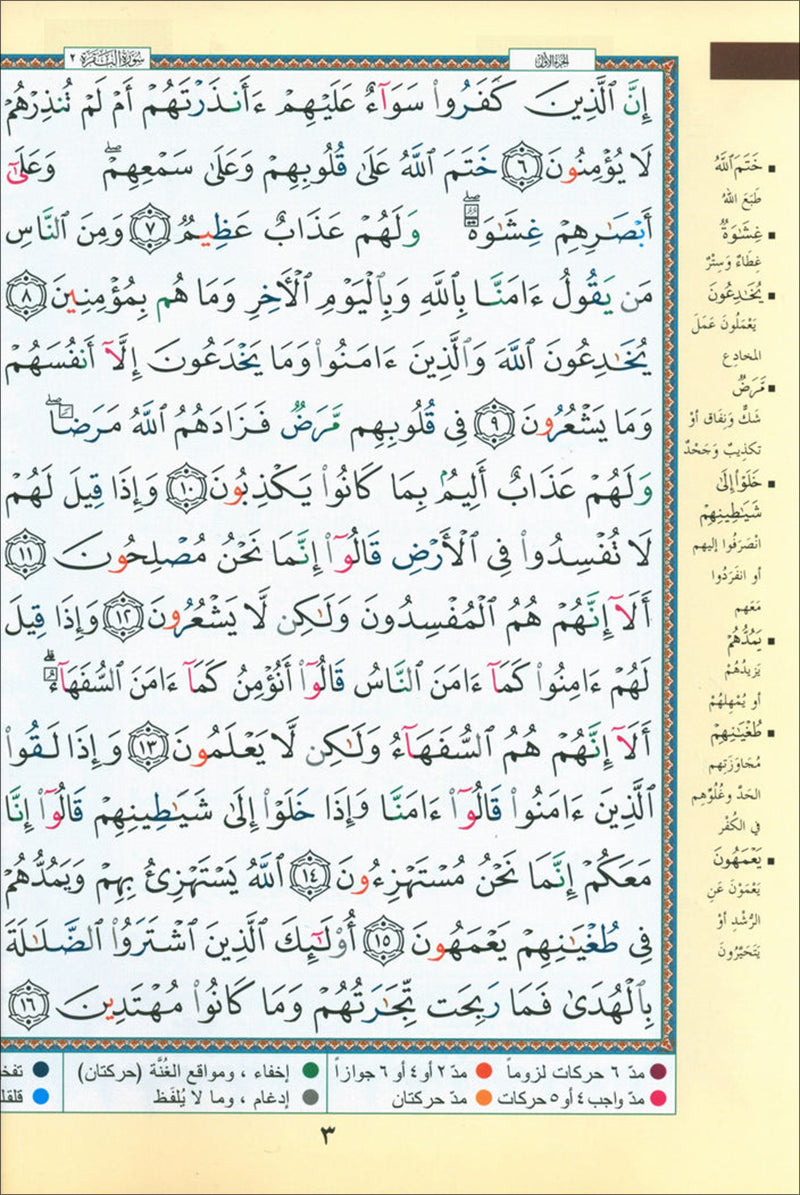 Tajweed Qur'an (Set of 4 Books with Color-Coded Tajweed, Large Size (Hafs Narration) مصحف التجويد
