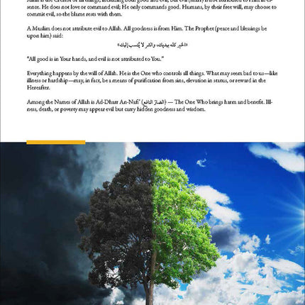 Living Islam 4 (12th Grade)