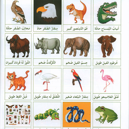 I Love and Learn the Arabic Language Textbook: Level 4 أحب و أتعلم اللغة العربية كتاب التلميذ