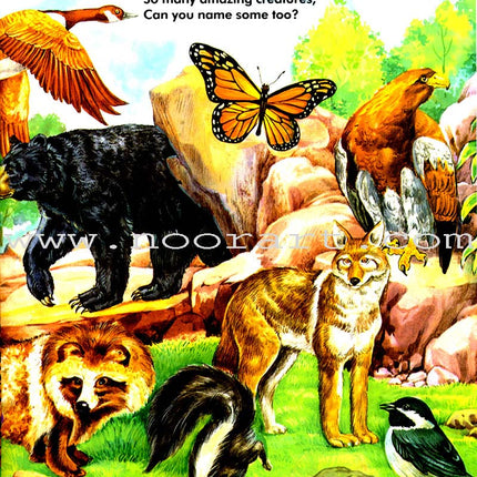 Allah's Zoo