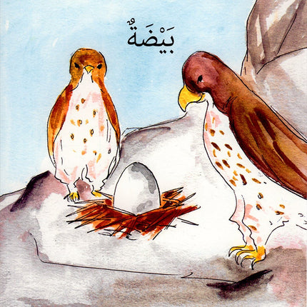 My Environment,Life Cycle Series سلسلة دورة الحياة , بيئتي