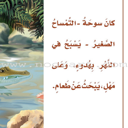Reading Program in the Arabic Language: Level 3 (Set of 12 Books) برنامج القراءة في اللغة العربية