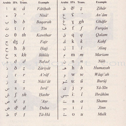 The Clear Quran: A Thematic English Translation (Paperback, 5.8" x 8.4")