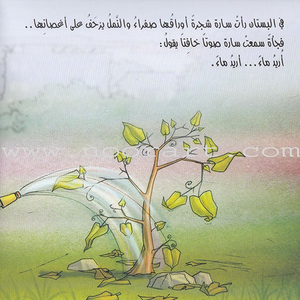 Berries Berries توته توته